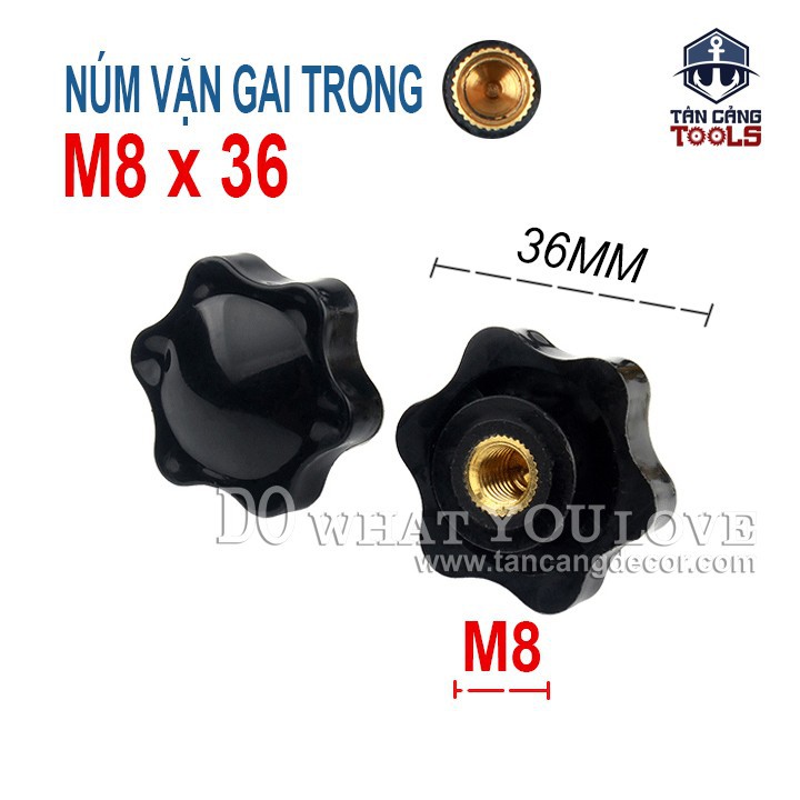 Núm Vặn Gai Trong