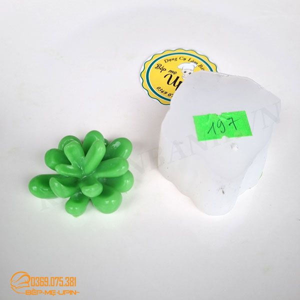Khuôn silicon sen đá