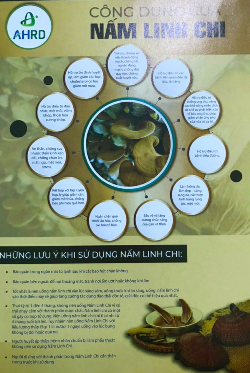 Nấm Linh chi 200g sấy hút chân không (Reishi mushroom)