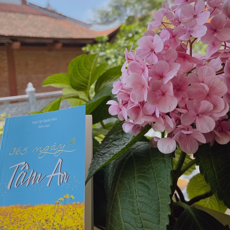 Sách - 365 ngày tâm an
