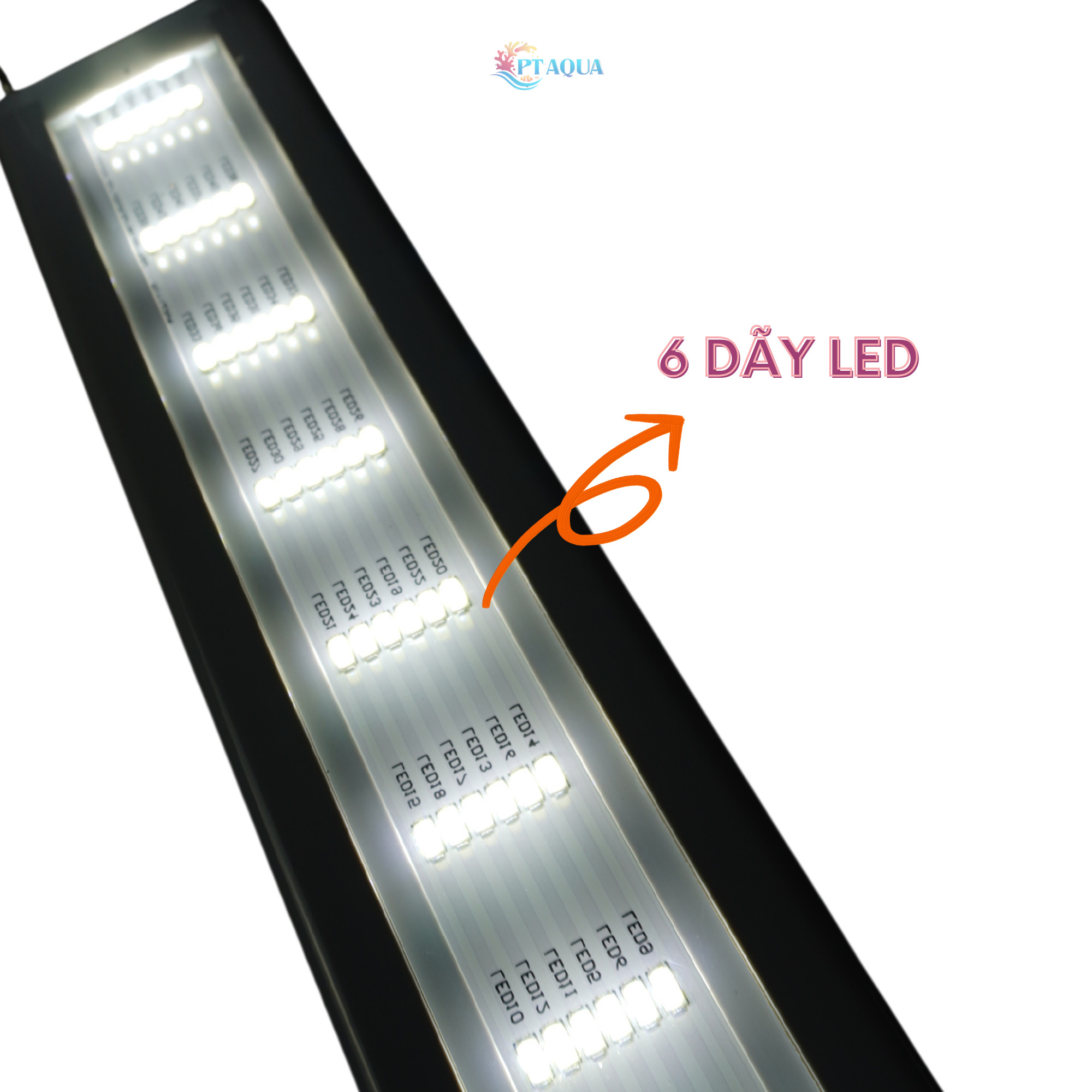 Đèn bể cá ĐỔI MÀU 3 CHẾ ĐỘ SÁNG cho bể cá cảnh 20CM đến 110cm