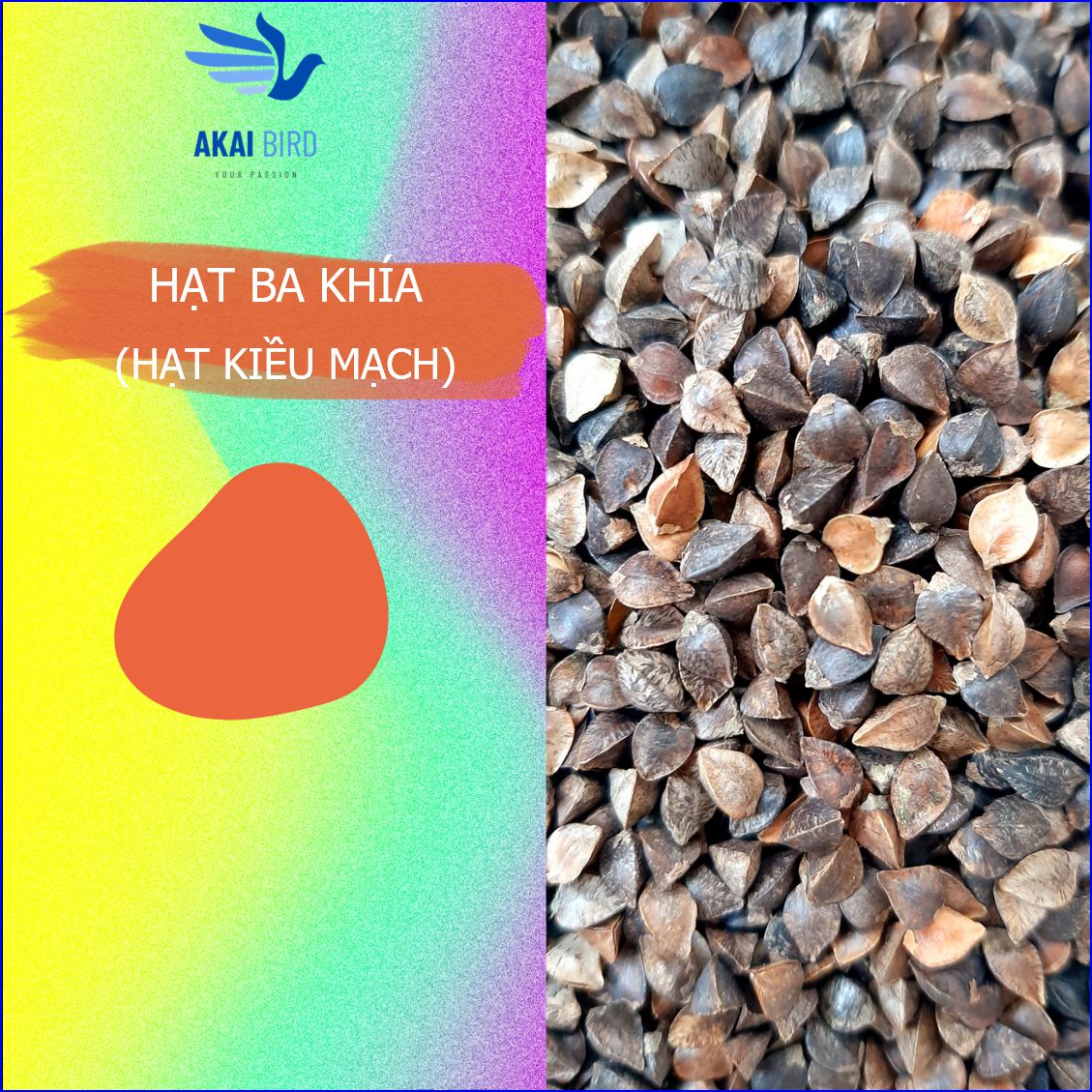 [1KG] Hạt Ba Khía (Hạt Kiều Mạch) Cho Vẹt, Hamster, Sóc...
