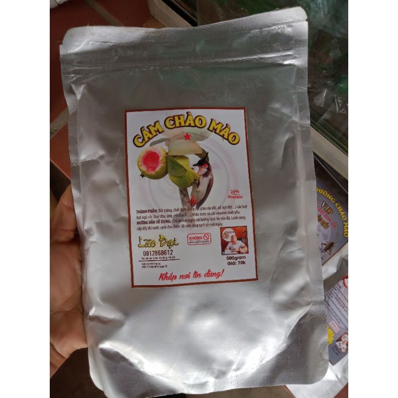 Cám chim lão Đại(chim chào mào)