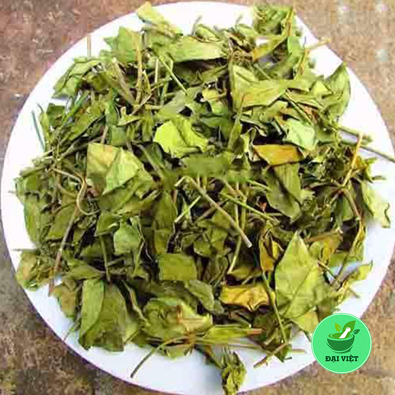 Dây thìa canh rừng (gói 1kg) - DV002
