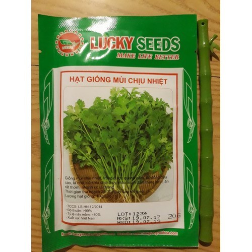 Hạt giống rau mùi ta chịu nhiệt 20gr/gói