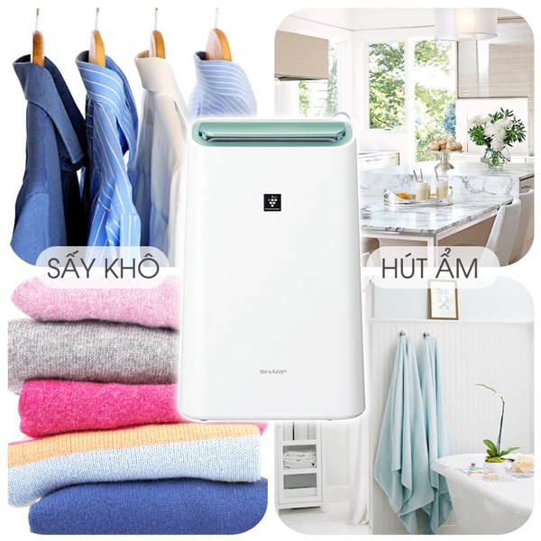 Máy lọc không khí và hút ẩm Sharp DW-E16FA-W