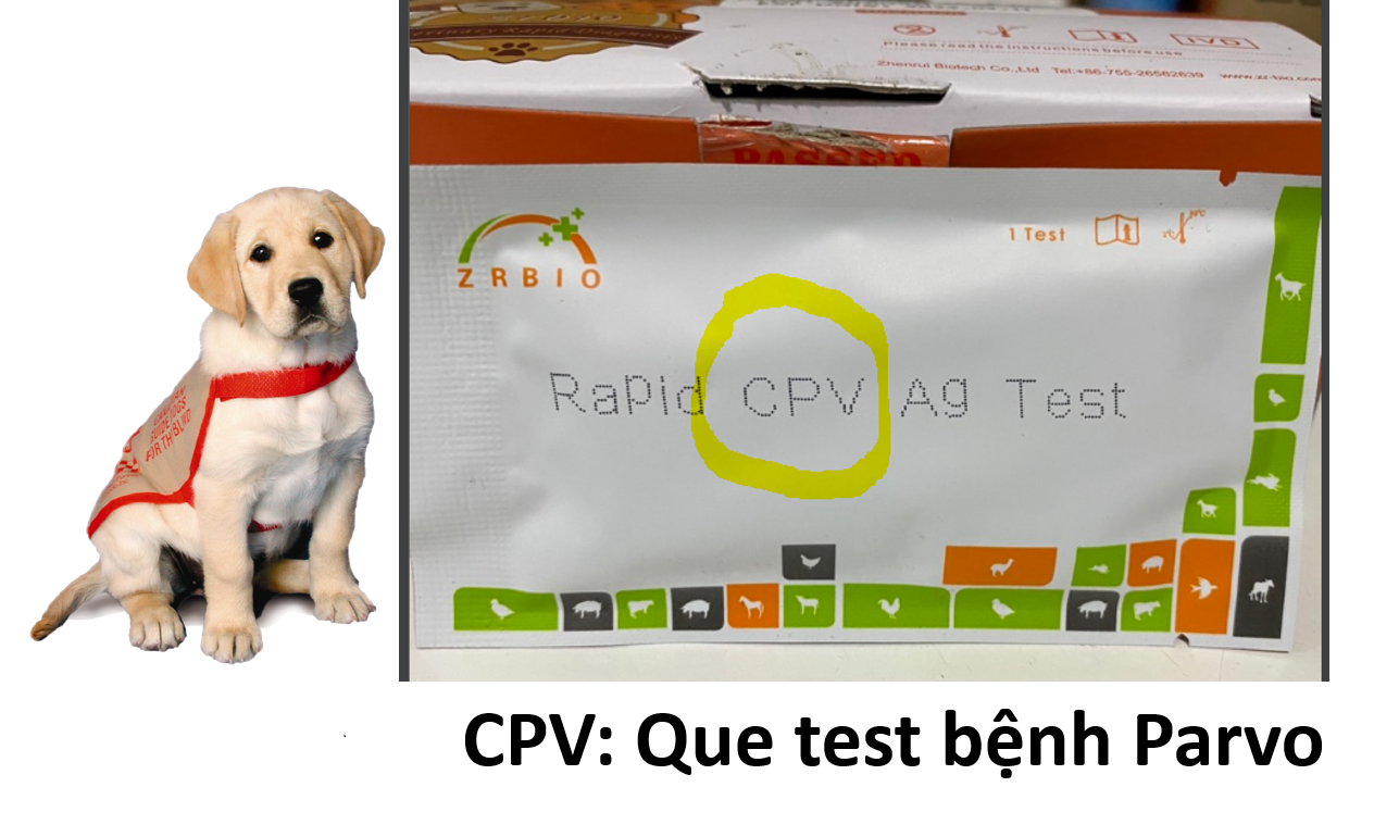 Test bệnh thú cưng que thử bệnh chó mèo Parvo Care FPV