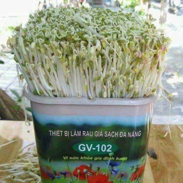 [ Bảo hành 12 tháng] máy làm giá đỗ sạch cao cấp