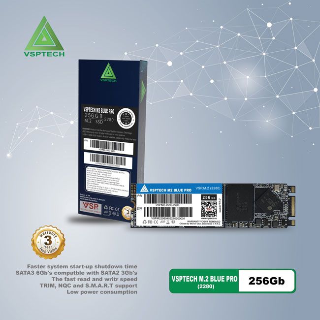 Ổ CỨNG SSD VSPTECH BLUE PRO M.2 (2280) 128GB - 512GB