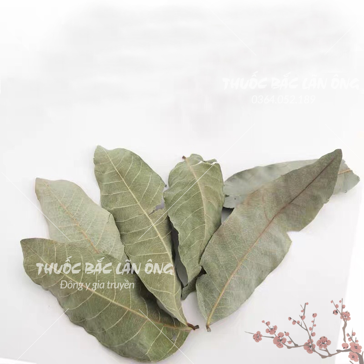 Lá ổi non phơi khô 100g (Lá ổi giảm cân, đọt ổi khô, thơm, sạch)