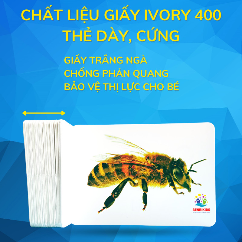 15x21cm big A5 type smart learning card set educational learning alphabet letters English flash card teaching world ID card
