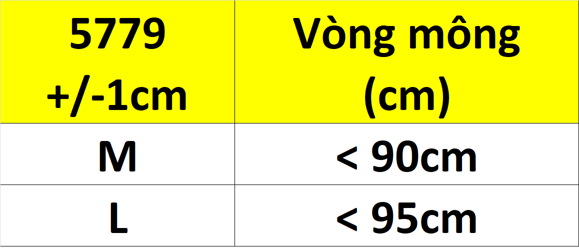Combo 5 Quần Lót Nữ Ren Lưới Cạp Chéo Đính Nơ 5779 – Dễ Thương, Gợi Cảm, Mặc Cực Thoải Mái