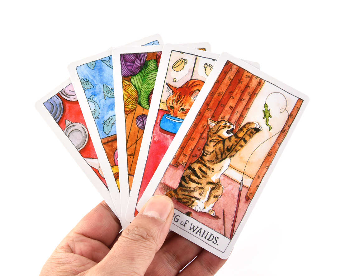 Bài Cat Tarot New M9