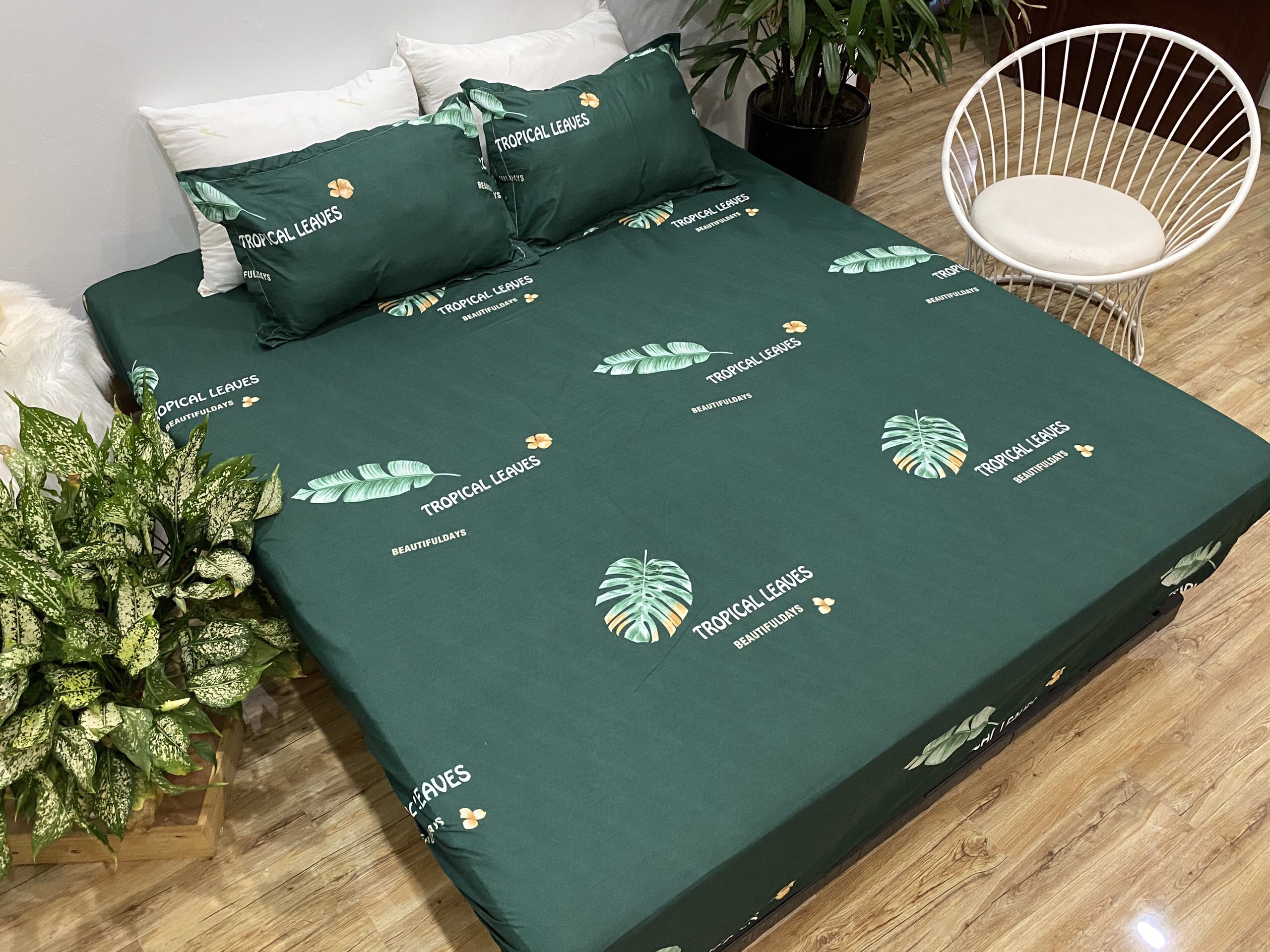 Bộ Ga Gối 3 Món ( Gồm 1 Ga Bo Chun + 2 Vỏ Gối) Mã CH219