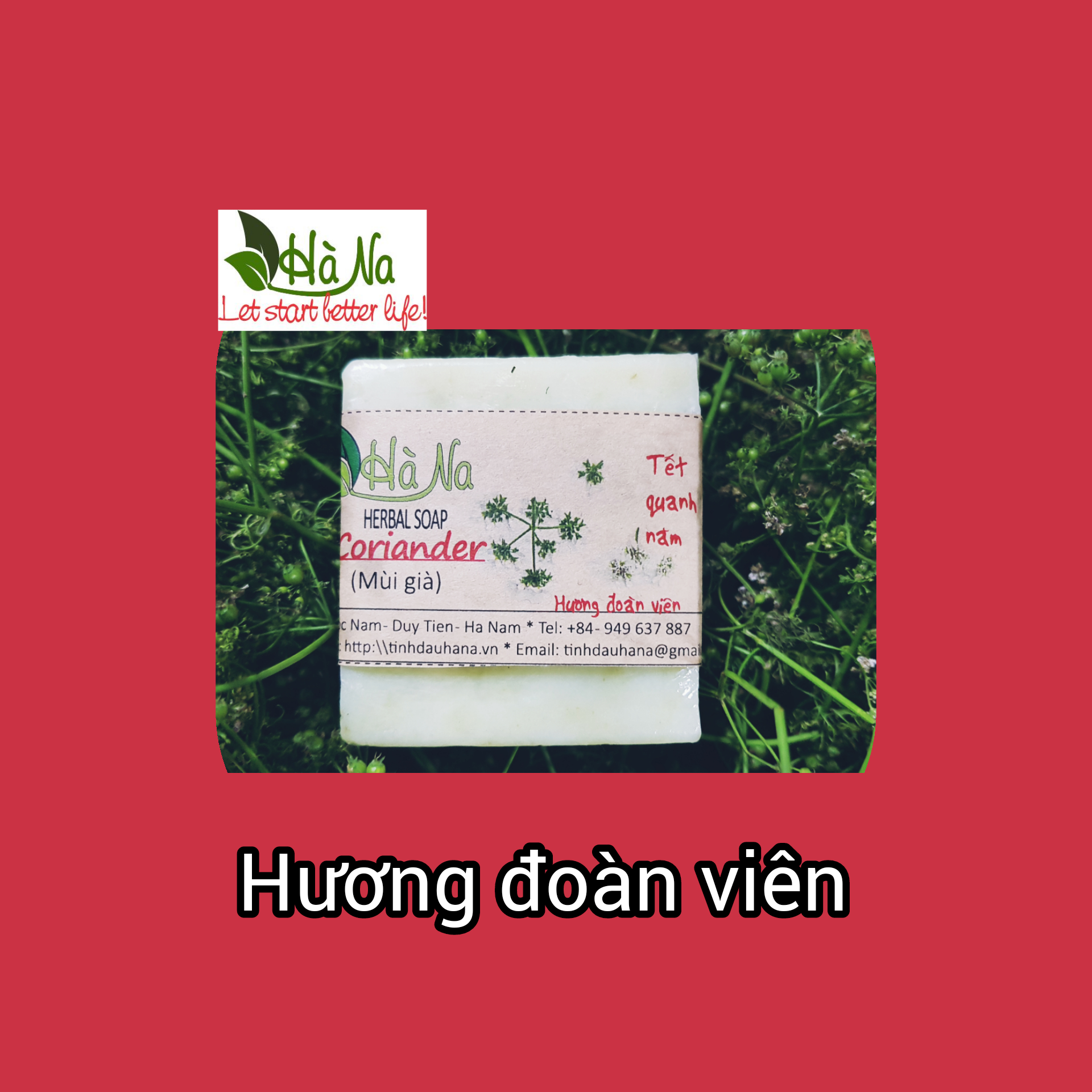 Xà Phòng Hạt Mùi Già HÀ NA