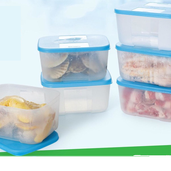 Bộ Hộp Tupperware Trữ Đông Freezermate 650ml (6 Hộp)