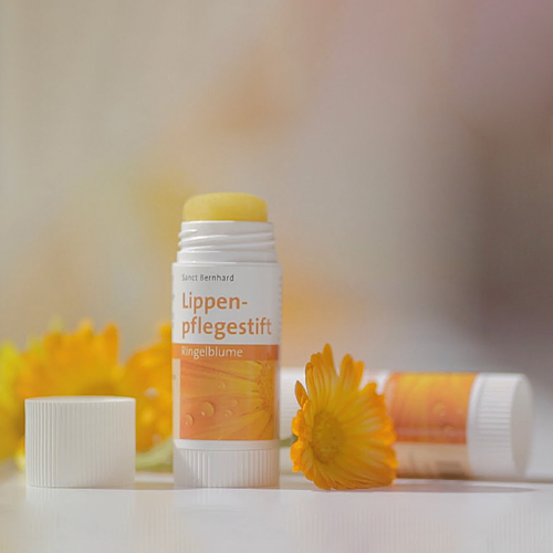 Son dưỡng cúc vạn thọ Sanct Bernhard Lip Balm