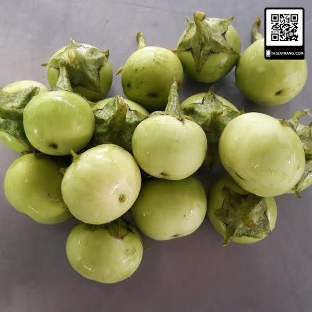 Hạt giống Cà pháo xanh cao sản