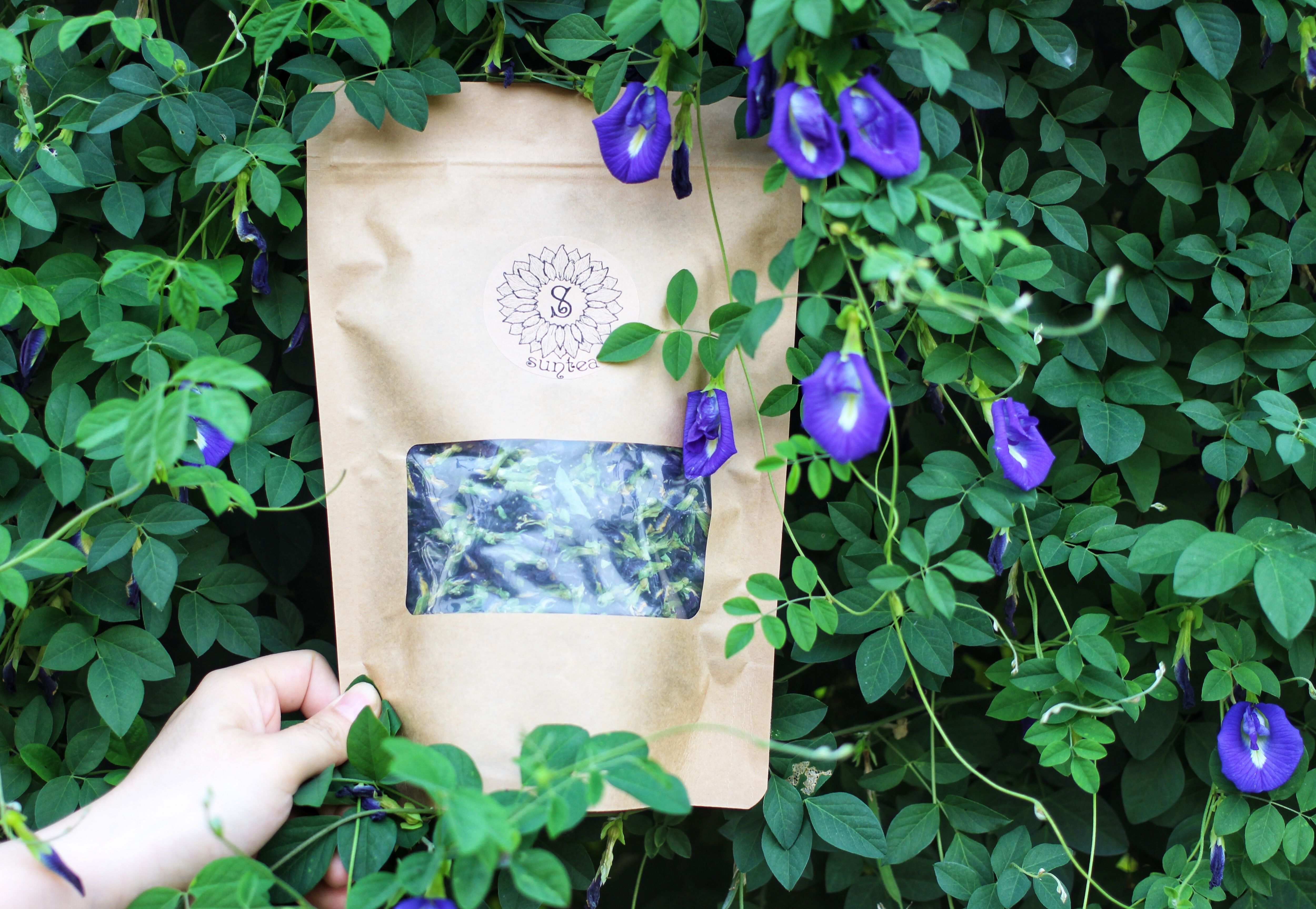 Butterfly Pea tea ( zipper 50g)