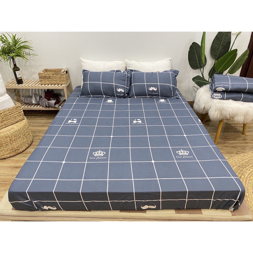 Ga trải giường m6/m8 drap giường poly nhiều mẫu lựa chọn