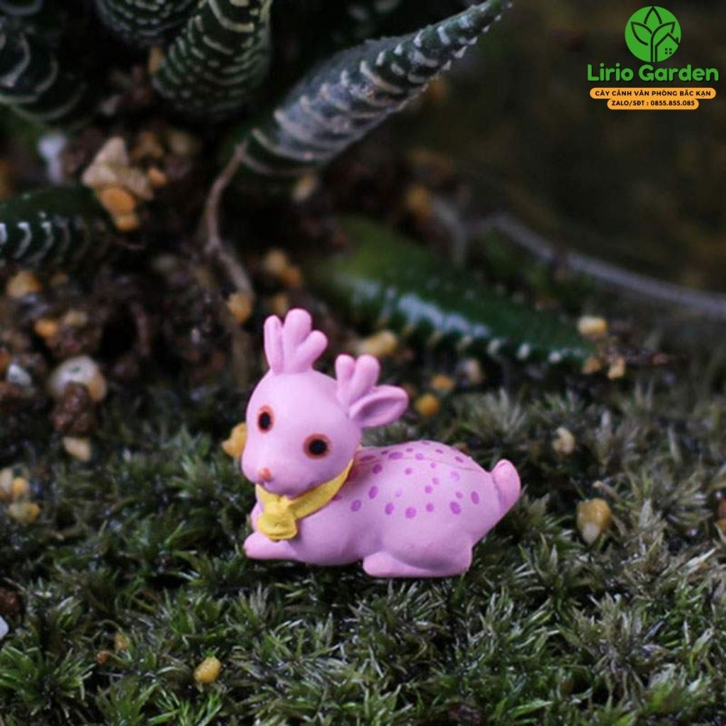 hươu mini tiểu cảnh