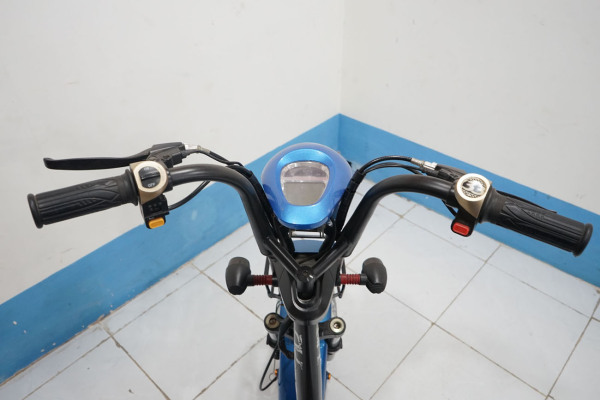 Mua Xe đạp điện 133 Kasubike