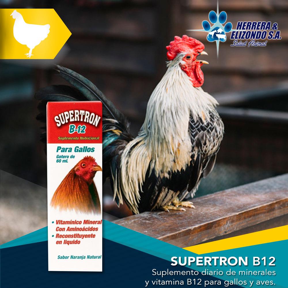 SUPERTRON B12 DINH DƯỠNG CHO GÀ ĐÁ 60ML