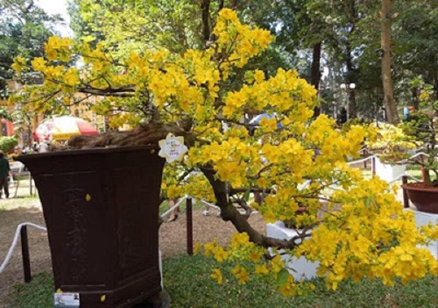 2 KG PHÂN URÊ XANH TAN NHANH - XUẤT SỨ: USA