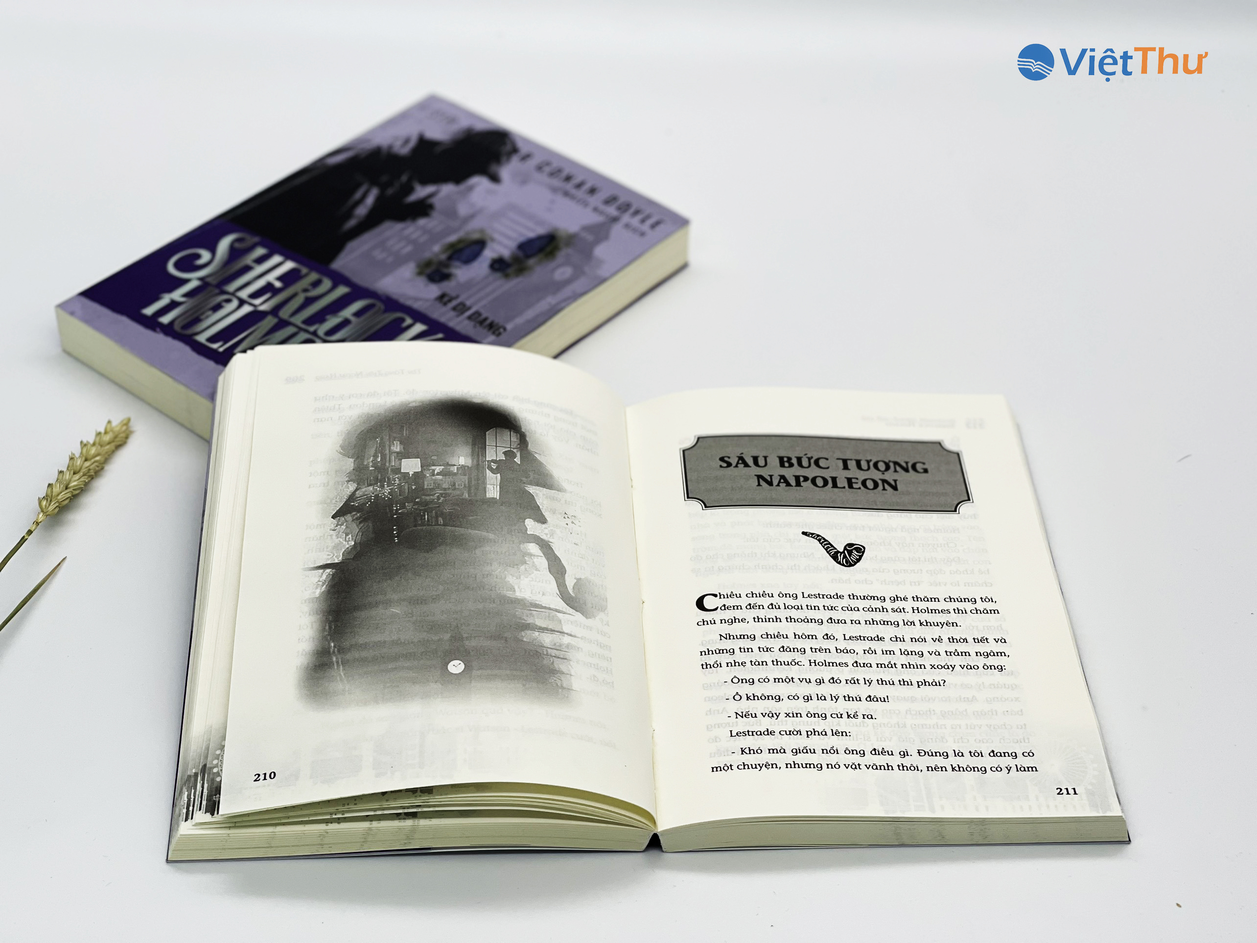 Sherlock Holmes - Kẻ Dị Dạng (Bìa Mềm)(VT)
