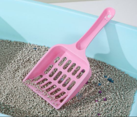 XẺNG XÚC PHÂN VỆ SINH CHO THÚ CƯNG (GIAO MÀU NGẪU NHIÊN)