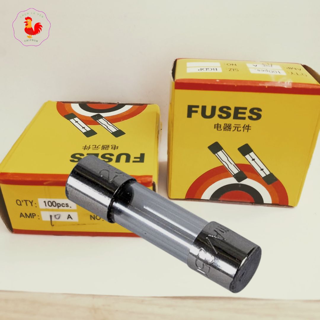 6x30 250V fuse