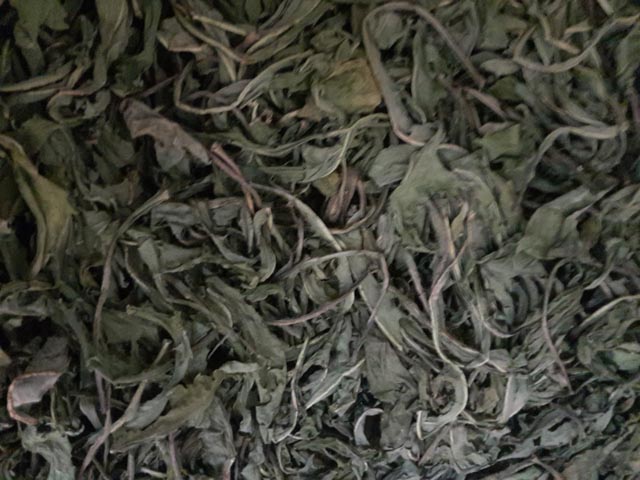 Bồ công anh khô