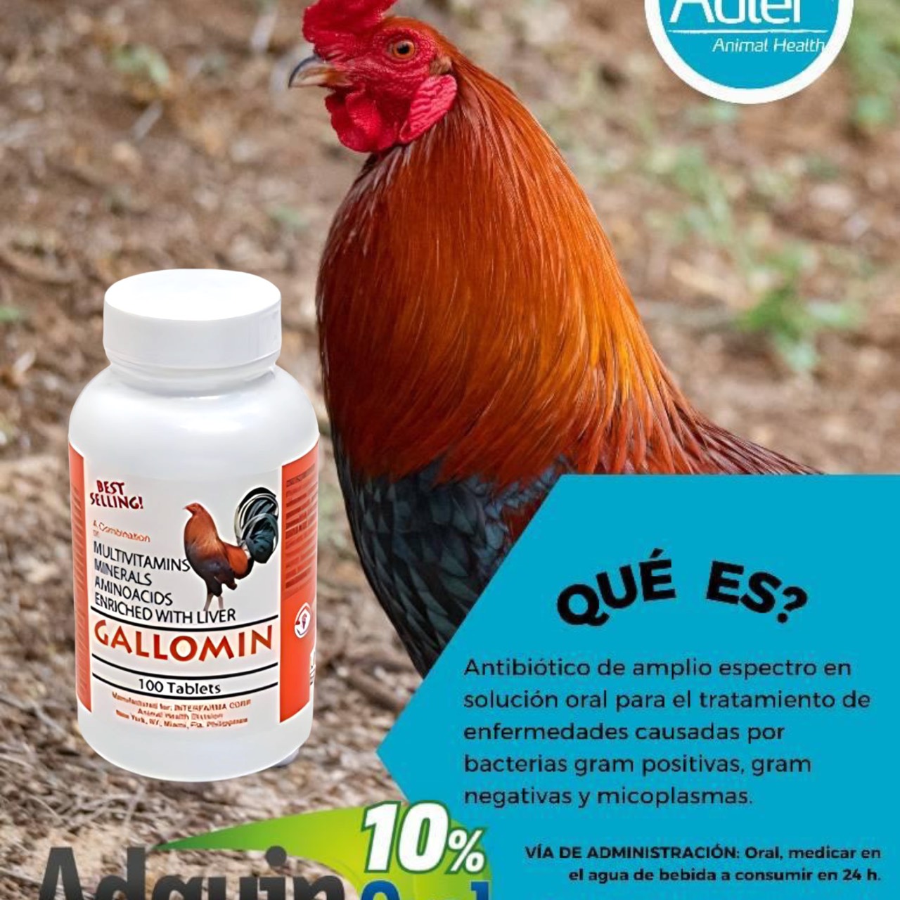 GALLOMIN dinh dưỡng cho gà đá CHIẾC LẼ 20 VIÊN