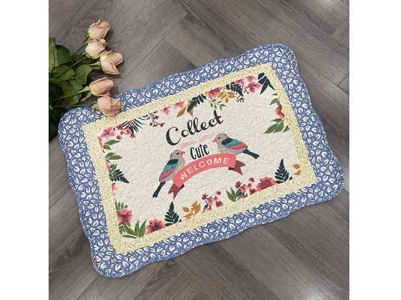 Thảm chùi chân - Welcome viền xanh