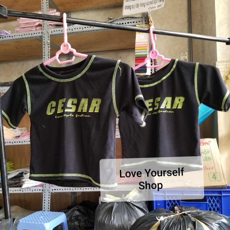 [HCM][Có ảnh thật] Áo thun croptop ôm body Cesar