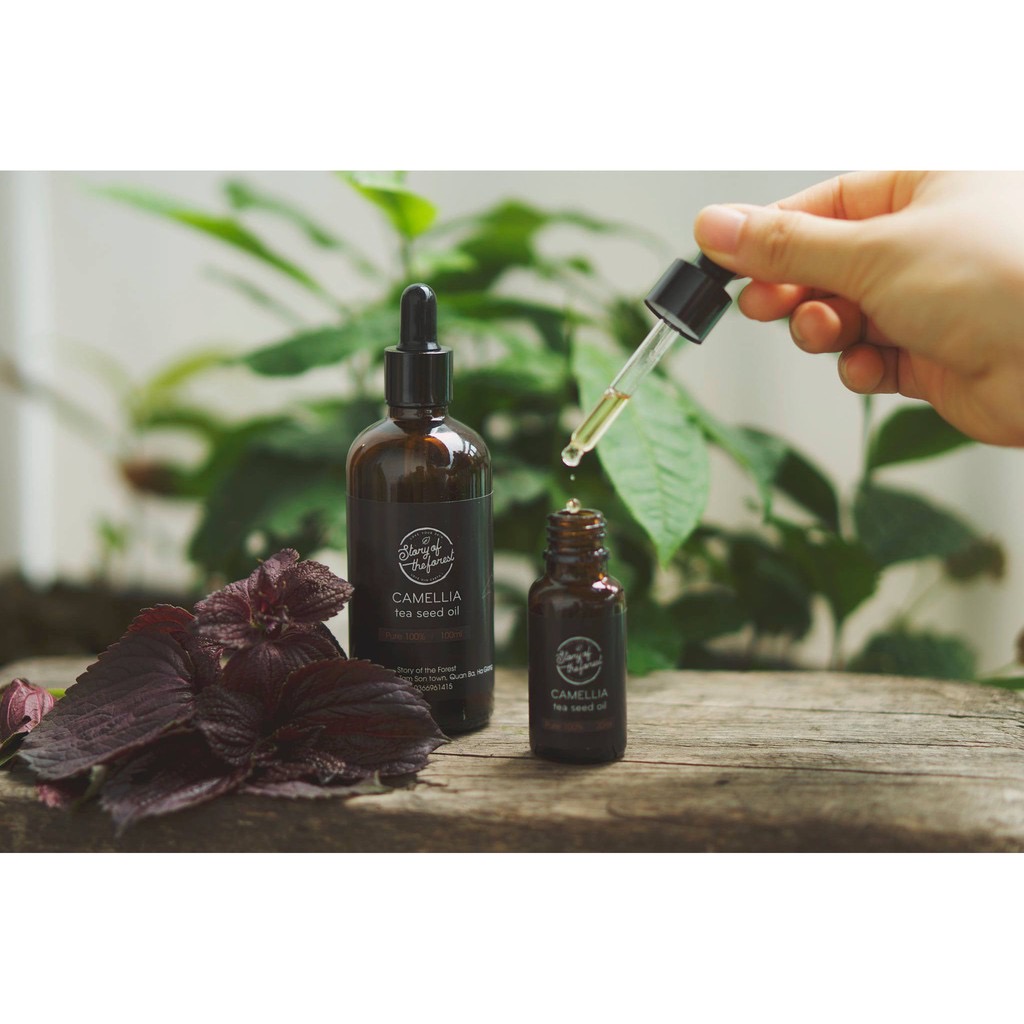 DẦU HẠT TRÀ CAMELLIA OIL - TÍA TÔ [STORY OF THE FOREST]