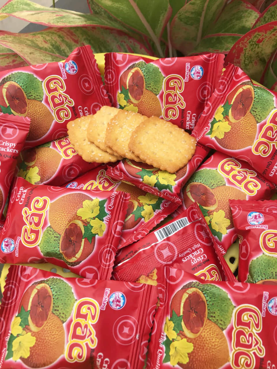 Bánh Quy Gấc - 1 KG