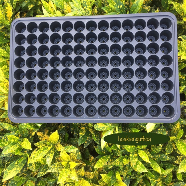 Khay Ươm Vỉ Ươm Hạt Cây Con 104 Lỗ -[Seeds]