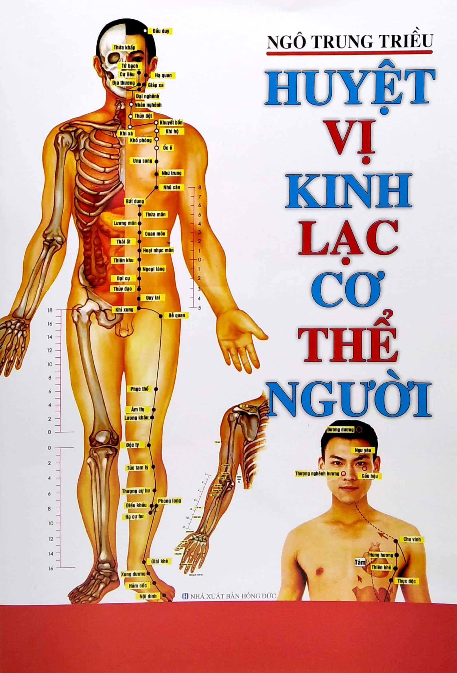 Sách - huyệt vị kinh lạc cơ thể người