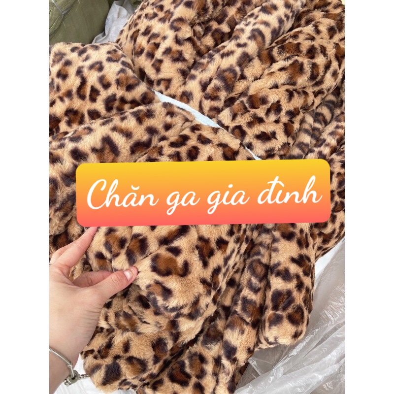 CHĂN LÔNG THỎ HỌA TIẾT DA BÁO