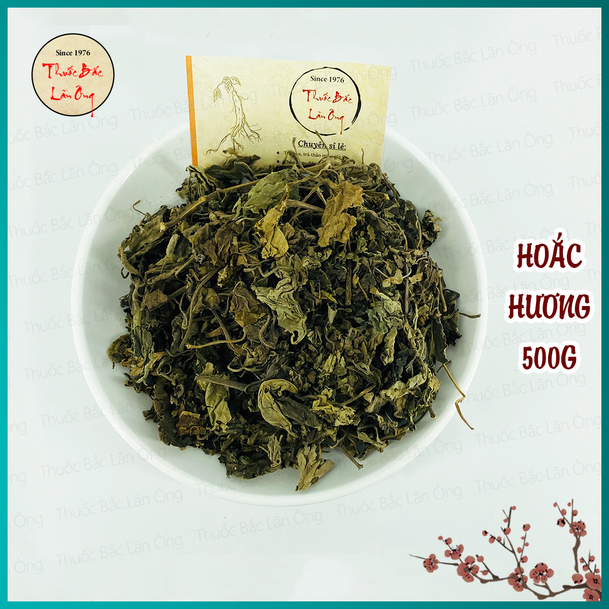 500g hoắc hương