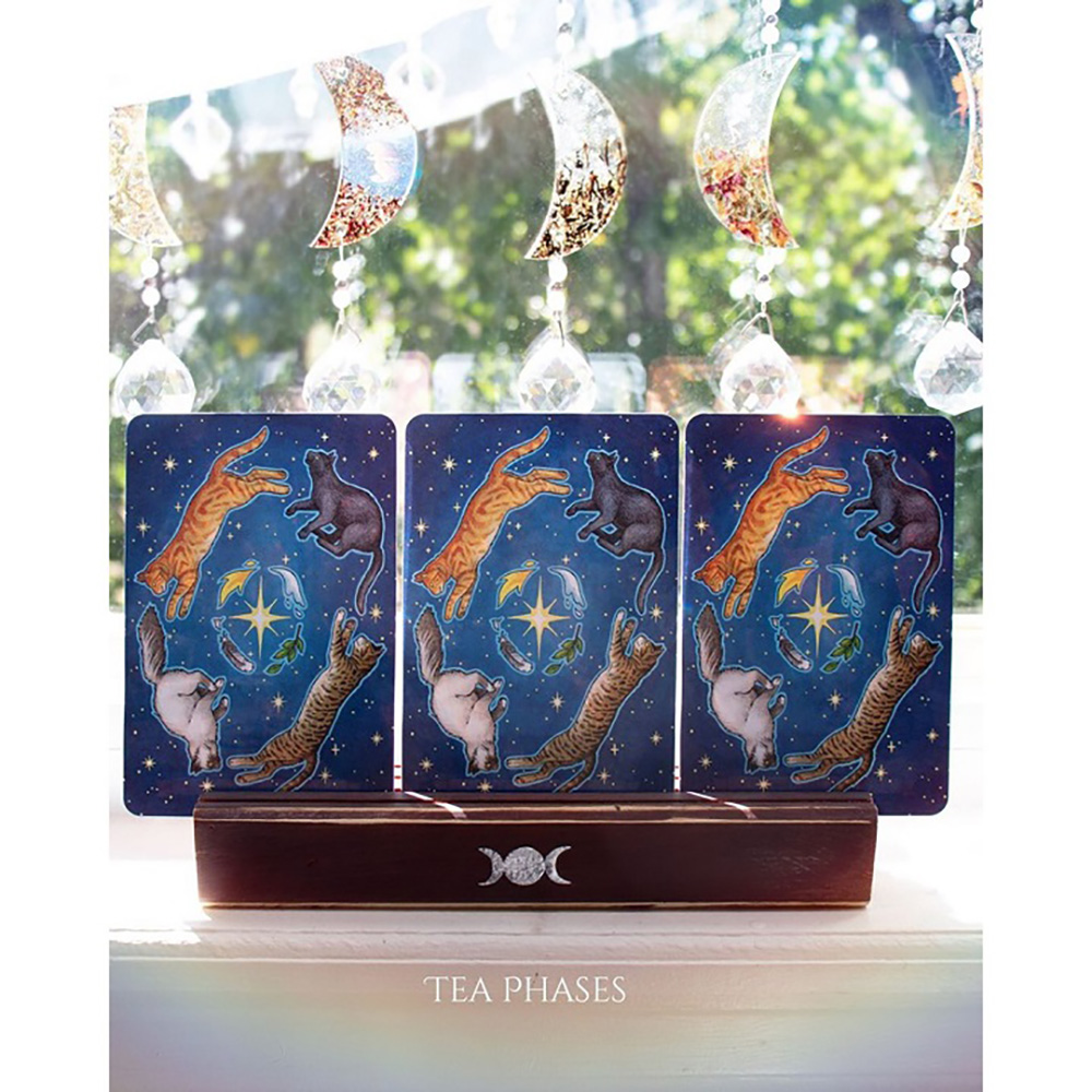 Bộ Bài Oracle Everyday Witch Oracle Tặng Đá Thanh Tẩy