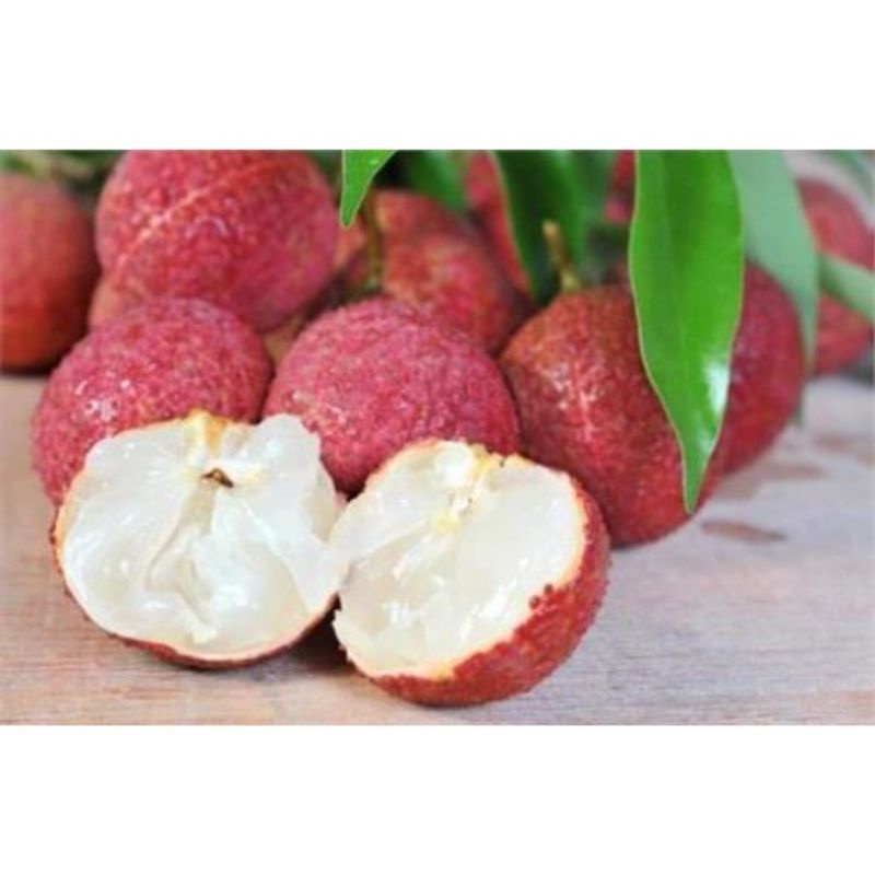 VẢI KHÔNG HẠT CÂY GHÉP