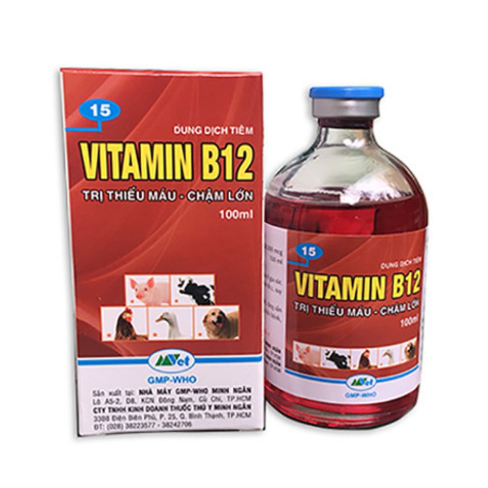 Vitamin B12 Thú Y - Lọ 100ml