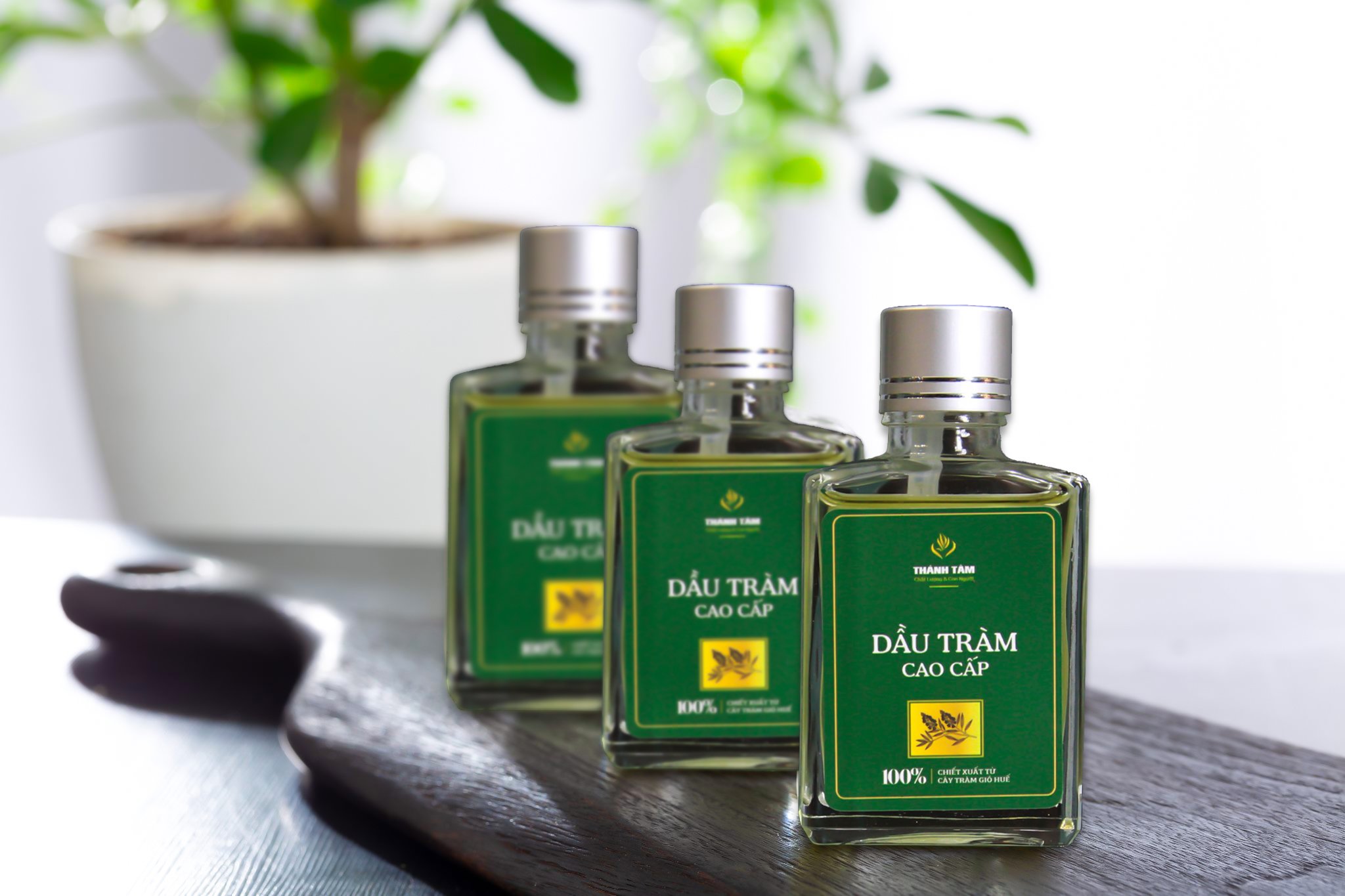 Dầu Tràm Cao Cấp Thánh Tâm 30ml