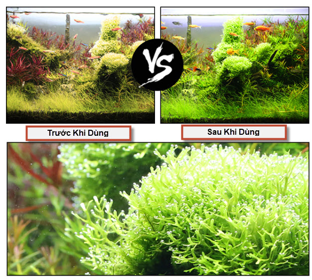 [Hoàn Tiền 10%] Viên Sủi CO2 SunSun