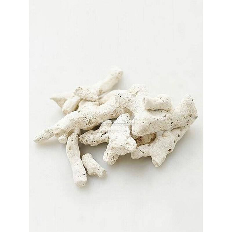 San hô (Túi 1kg) vật liệu lọc cho bể cá, trang trí bể cá