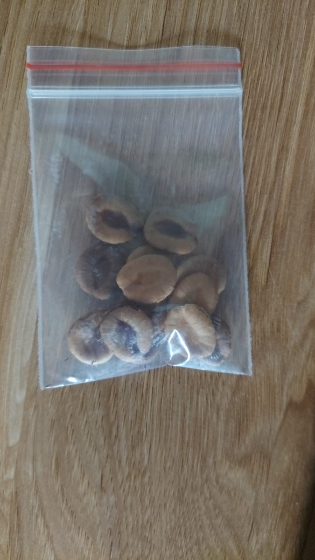 Hạt giống la hán quả
