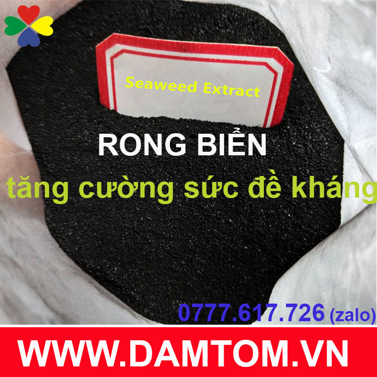 Bột rong biển (Seaweed extract powder) dạng bột, vảy tan 100% (gói 500g)