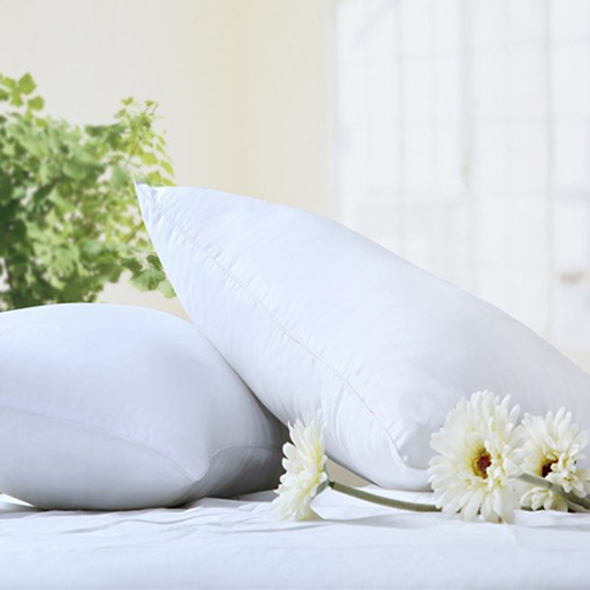 Combo 2 ruột gối nằm ép hơi 35x55